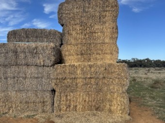 120 x Wheaten Straw 500kg 8x4x3 Bales