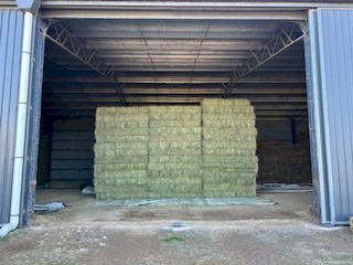 Lucerne small square bales