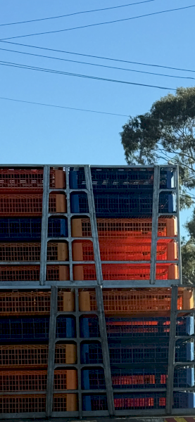 Hire or buy poultry transport cages