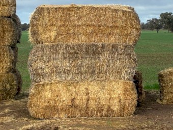29mt B Double load of 61 Barley Straw 8x4x3 Bales