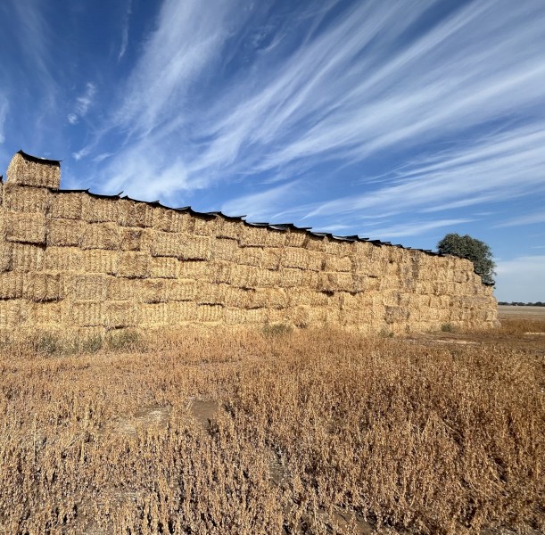 Oaten Straw 8x4x3 Bales
