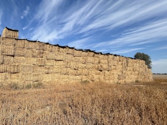 Oaten Straw 8x4x3 Bales