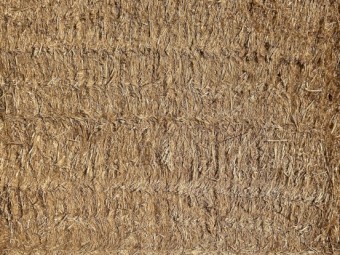 Wheaten Straw 8x4x3 Bales