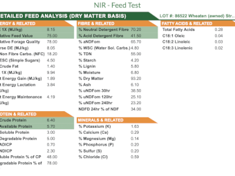 Wheaten Straw 8x4x3 Bales