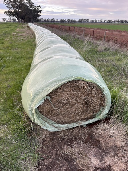 Clover and rye silage 