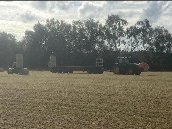 Barley Hay (New Season Hay)