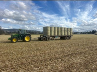 Barley Hay (New Season Hay)