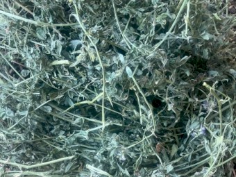 43mt Lucerne Hay 700kg 8x4x3 Bales