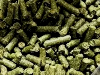 Alfalfa pellets