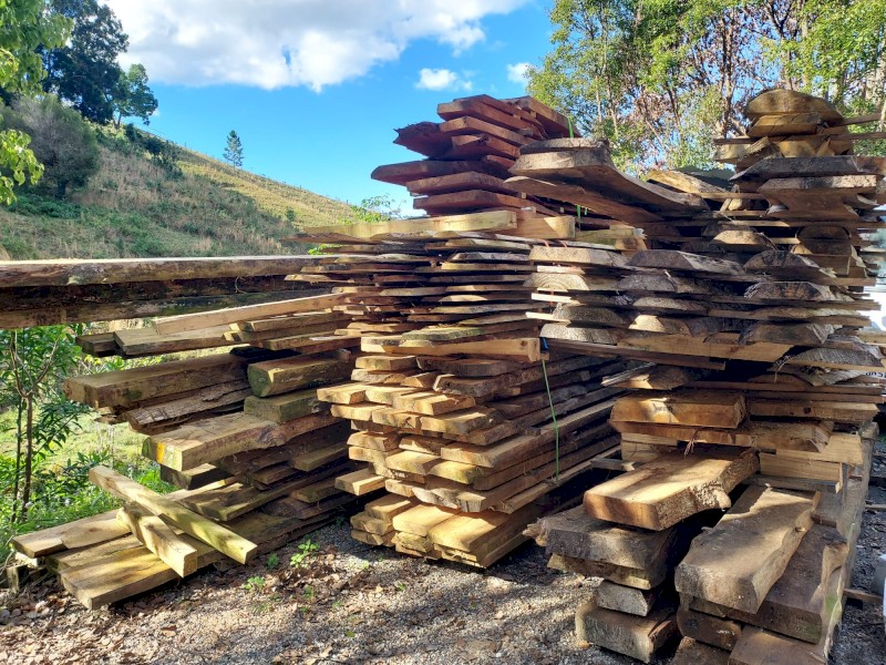 Timber and timber slabs for sale