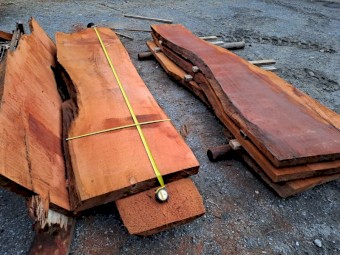 Timber and timber slabs for sale