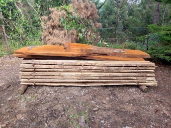 Timber and timber slabs for sale