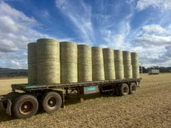 Barley Hay (New Season Hay)