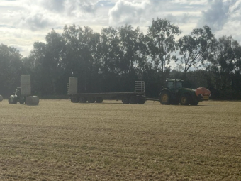 Barley Hay (New Season Hay)