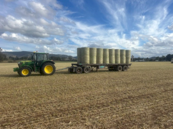 Barley Hay (New Season Hay)