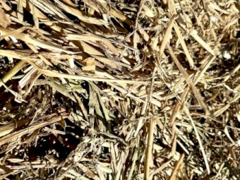 150mt Oaten Hay 600kg 8x4x3 Bales