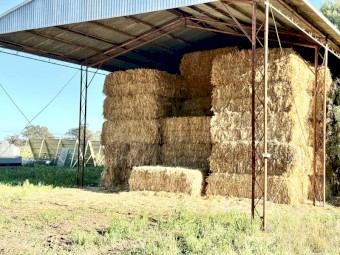 150mt Oaten Hay 600kg 8x4x3 Bales