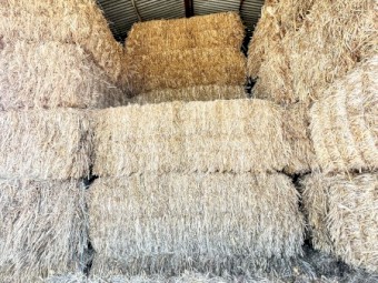 150mt Oaten Hay 600kg 8x4x3 Bales