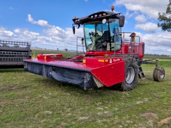 2022 Massey Ferguson WR9980 Windrower with Front and Mower Conditioner
