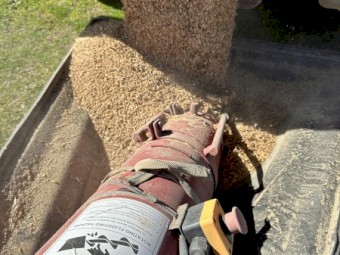 70mt Yarran Feed Oats