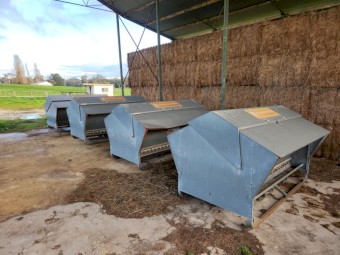 Advantage Lick Feeders