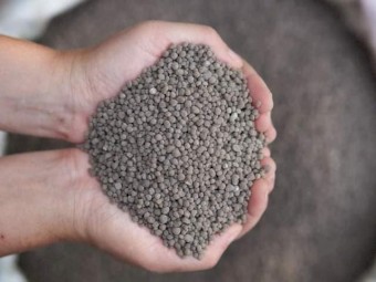 DAP Fertilizer - Ex NSW