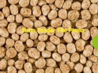 90mt Mandelup Lupins