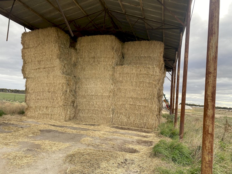 70mt Wheaten Hay 8x4x3 Bales
