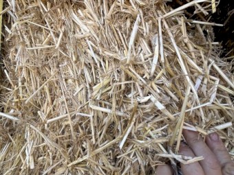 180mt Barley Straw 8x4x3 Bales