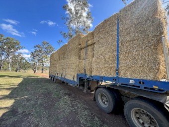 180mt Barley Straw 8x4x3 Bales