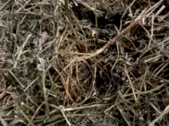 Lucerne Hay (4x4 - Round Bales)