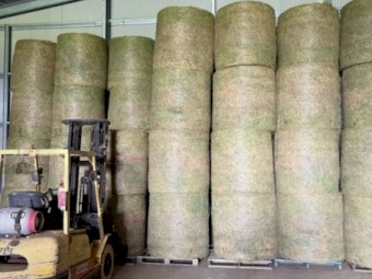 Lucerne Hay (4x4 - Round Bales)