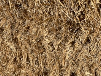 Wheaten straw