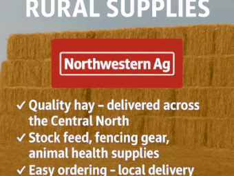 oaten little squares for sale(freight quoted seperatly)