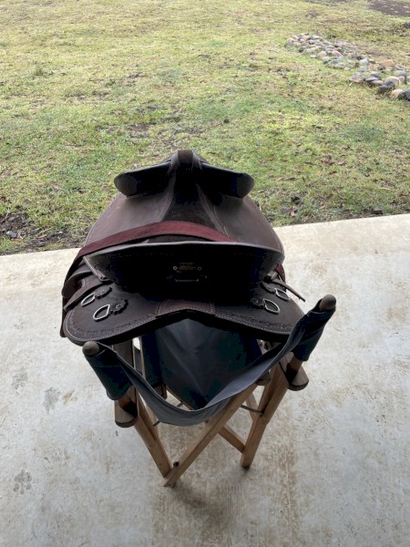 Horselines 15" 2024 stock saddle