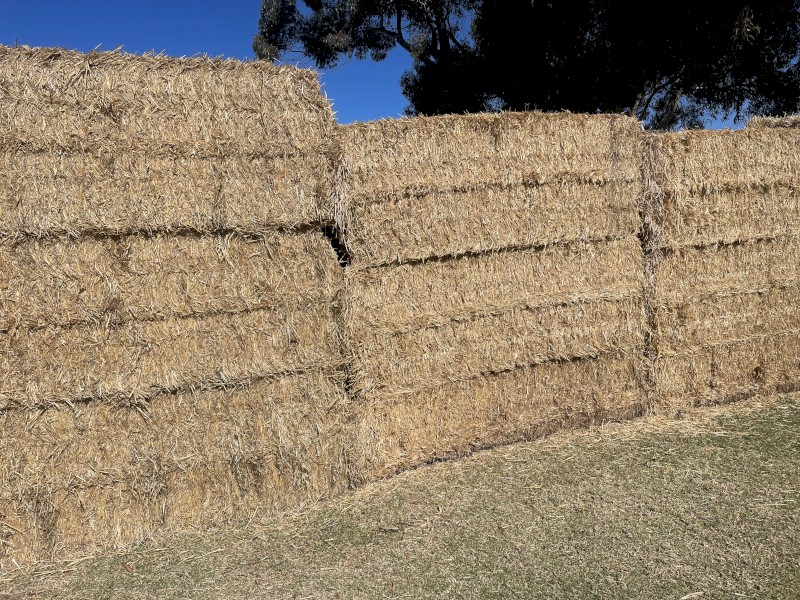Wheaten Straw 8x4x3 Bales