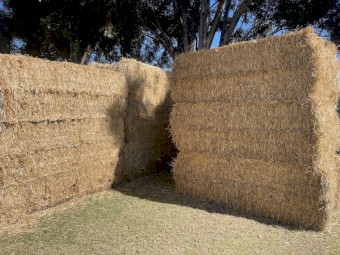 Wheaten Straw 8x4x3 Bales