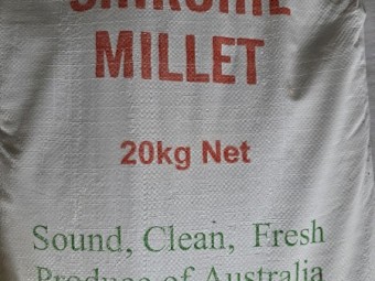 Machine-cleaned Sherohie millet bags/ton