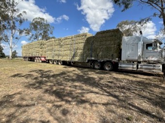 New season Oaten hay 8x4x3