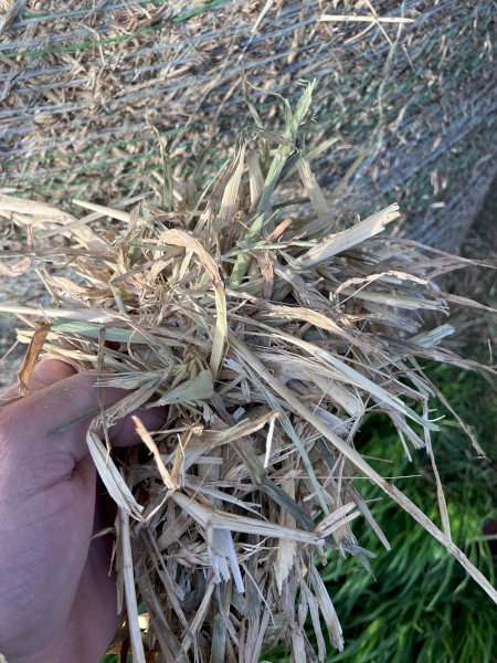 90 x Barley Hay Round Bales