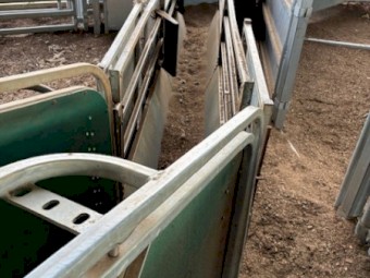 Peak Hill Lead Up Race