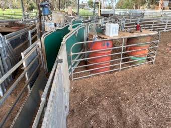 Peak Hill Lead Up Race