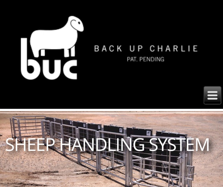 Backup Charlie sheep handling system 