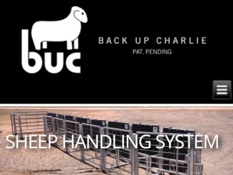Backup Charlie sheep handling system 