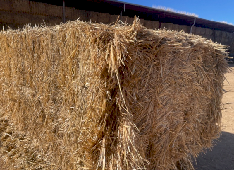 Wheat Straw small bales 