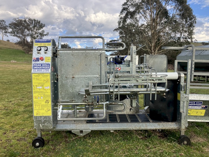 Peak Hill Industries Sheep Handler and EVO Heiniger