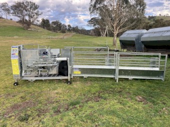 Peak Hill Industries Sheep Handler and EVO Heiniger