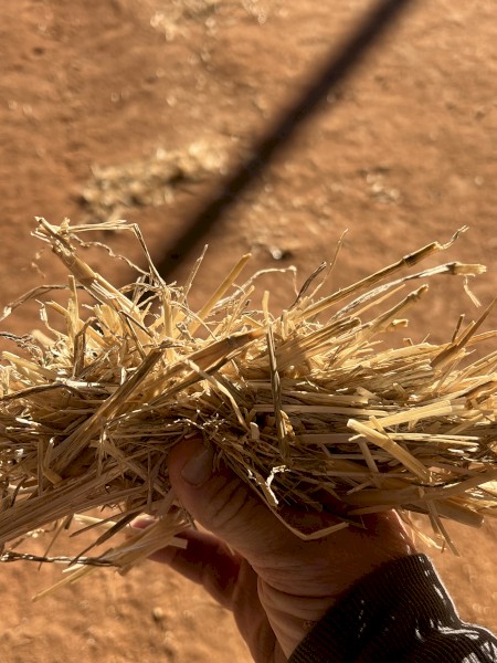 200mt Wheaten Straw Tailings 8x4x3 Bales