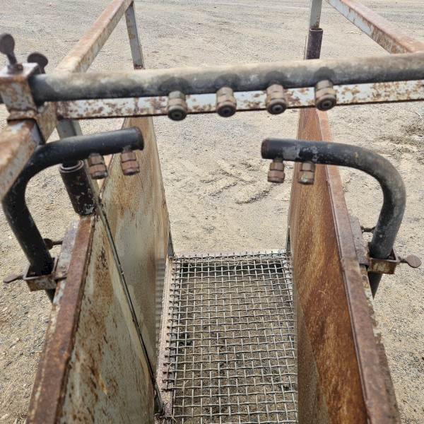 Jumbuck Merino Jetter