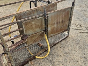 Jumbuck Merino Jetter